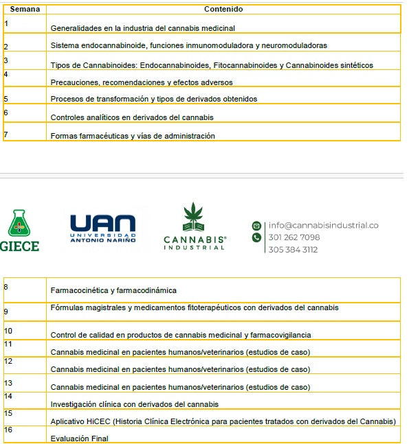 Diplomado en Endocannabinoidoma y Cannabis Medicinal — 100 Horas | Certificado UAN