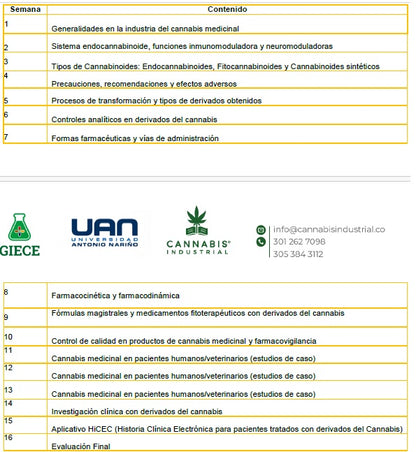 Diplomado en Endocannabinoidoma y Cannabis Medicinal — 100 Horas | Certificado UAN