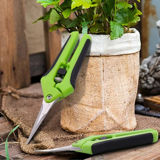 Juego de Tijeras para Cannabis y de Jardín Premium – Diseño Ergonómico y Antideslizante para Poda, cosecha de Flores Cannábicas y mas🌿✂️

Descubre este Set de Tijeras de Jardín Profesional , diseñado para simpl