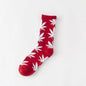 Calcetines Casuales de Algodón Premium – Diseño Único de Hojas de Cannabis y Motivos Naturales

Descubre la combinación perfecta entre estilo, comodidad y calidad con nuestros calcetines casuales unisex, diseñados espe